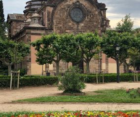 fiori e piante parco della ciudad vella Barcelona