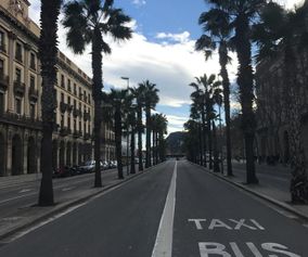 turismo Barcelona El Born