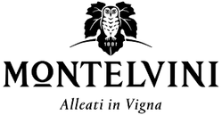 VINI ITALIANI SAN OSVALDO